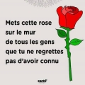 je suis homme travailleur tendre un peu timide suis en separation je suis homme travailleur tendre un peu timide suis en separation