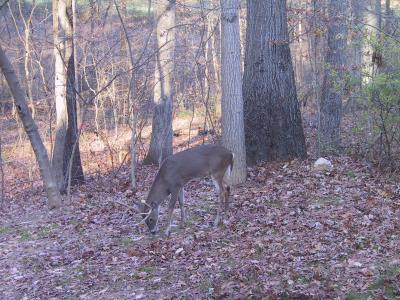 Que dire ? Je suis en manque d'inspiration. Je pense que c'est aux autres de ce faire un jugement sur ma personnalité.
Il faut venir me découvrir. Je répondrais avec sincérité
 