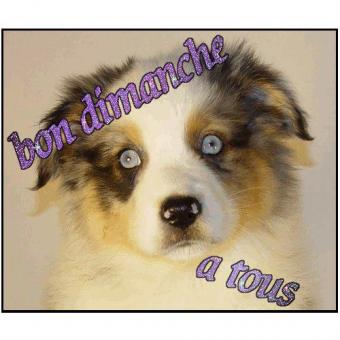 je ne me prend pas la tette cherche du concret 