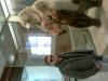 rencontrer un homme