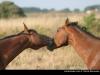 rencontrer un homme