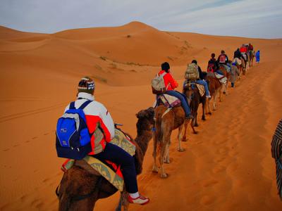 Born in the South of Morocco, I grew up in the rosas vally in the mountains. Since I was a child, I learned how to live and move in the mountains. In the beginning as a nomad, then as a mountain guide